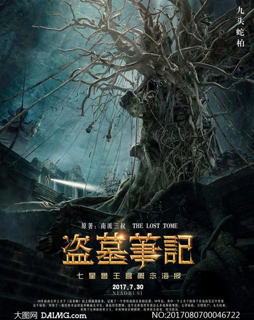香港驾驶证 图片